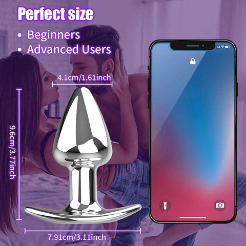 Stainless Steel Anal Plug Vibrator