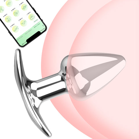Stainless Steel Anal Plug Vibrator
