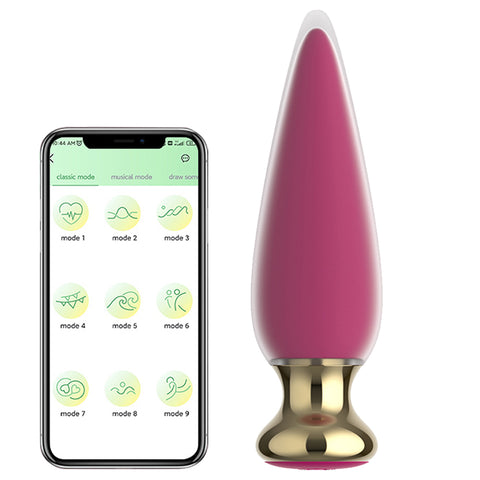 Wireless APP Remote Control Anal Vibrator